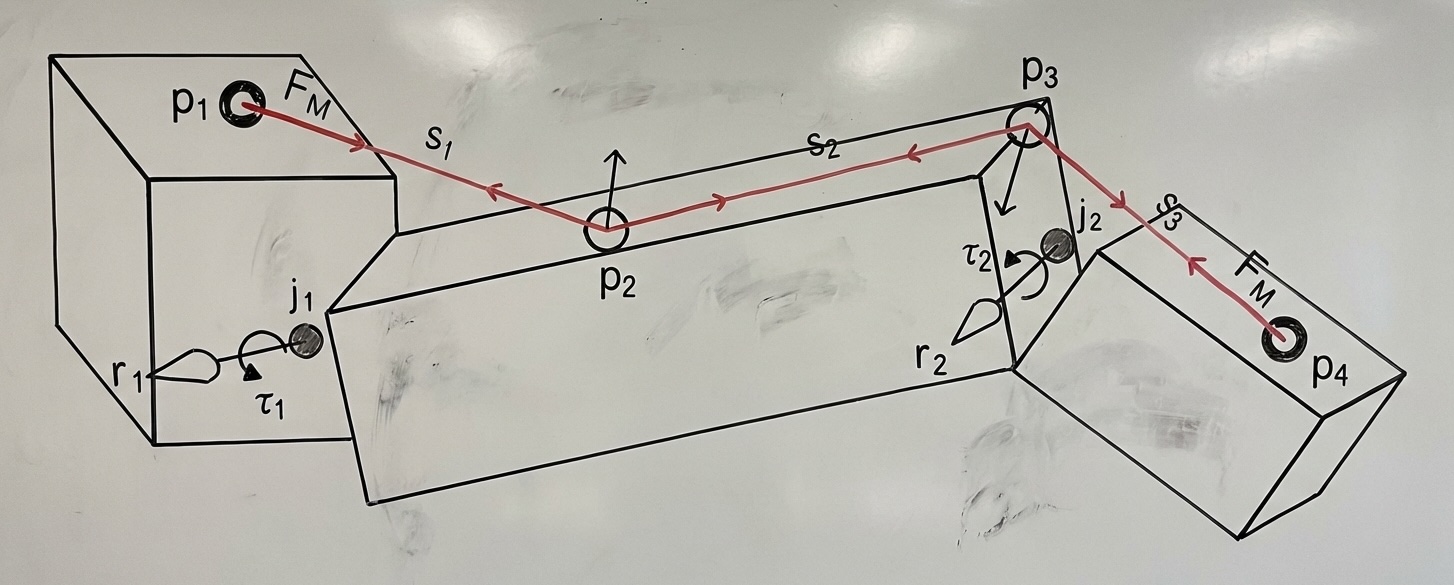 Force application diagram